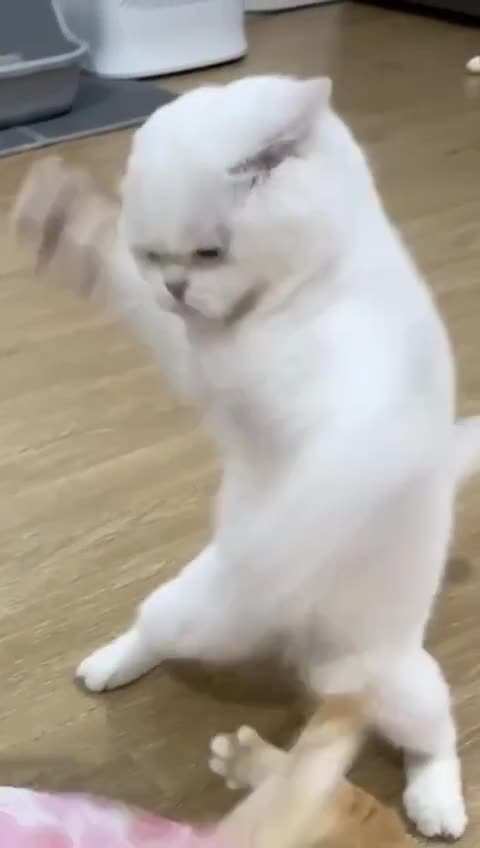 Kimi : i'm not clingy, you are clingy