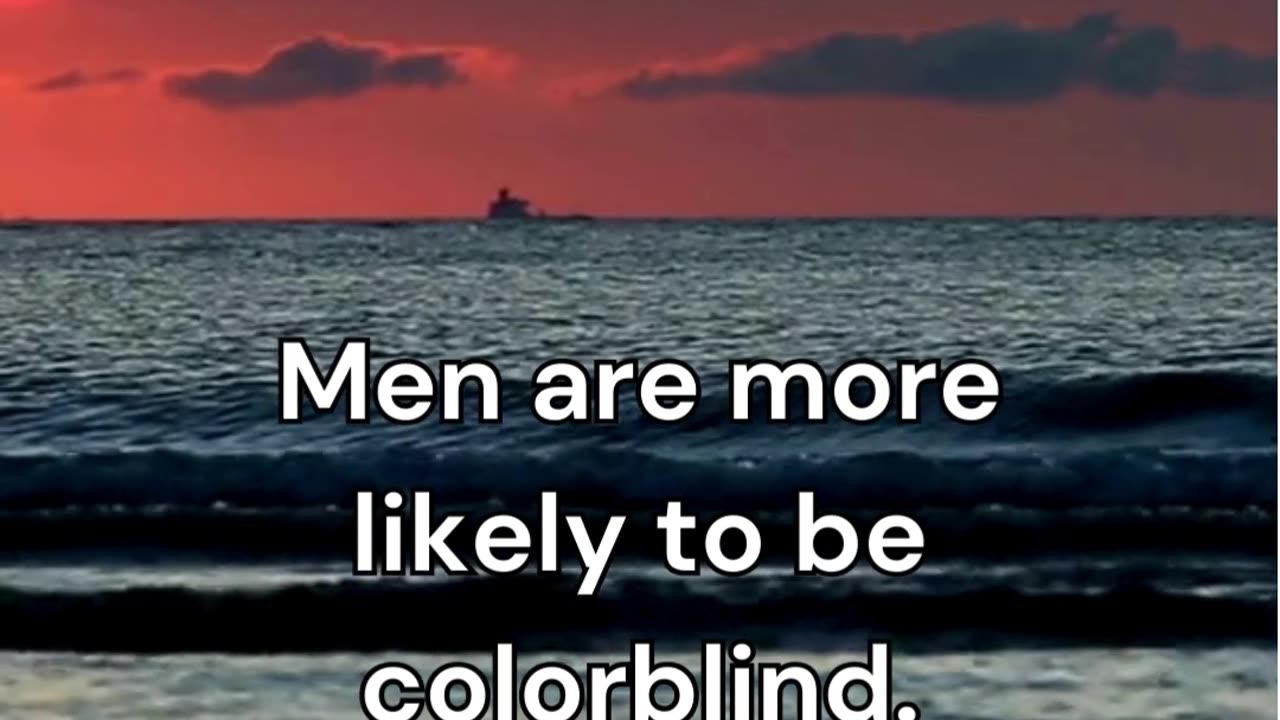 Male Fact