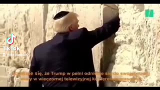 TRUMPED jew !