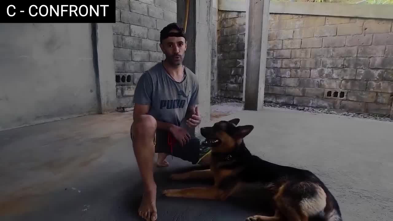 How to defend against your dog attack 😱😱😱