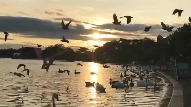 Hyde Park - London