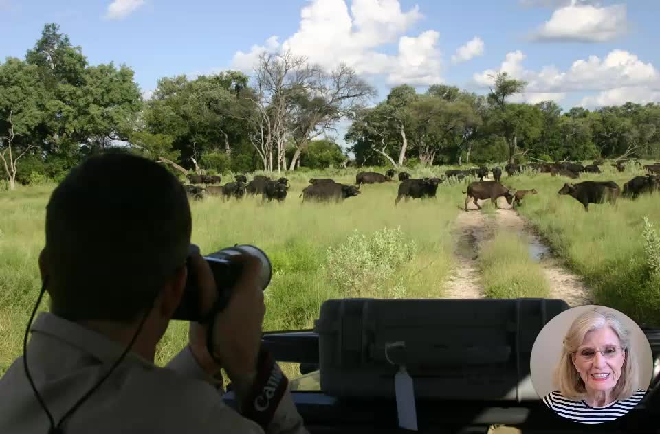 A MAGICAL SAFARI | BOTSWANA | AFRIC