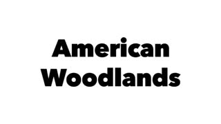 “American Woodlands Sculpture”