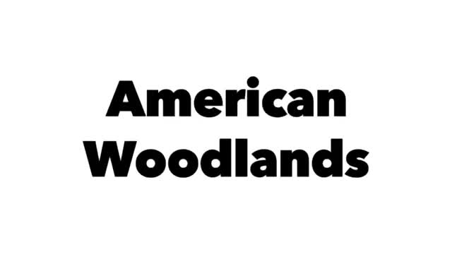 “American Woodlands Sculpture”