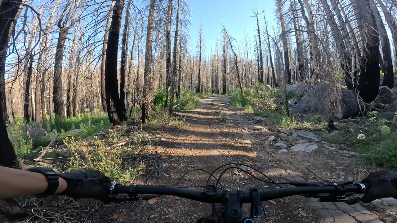 [MTB] West Martin Meadow Road (Kirkood, CA)