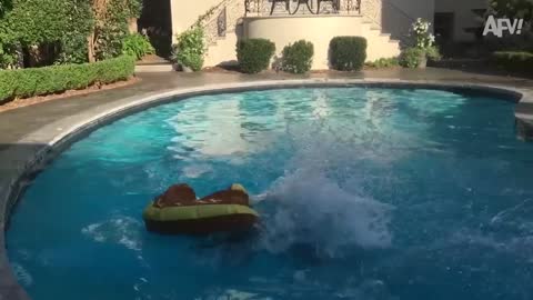 Videos to make you laugh 21