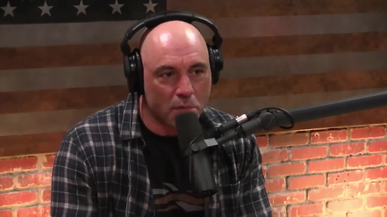 Joe Rogan SHOCKED By Hitler Conspiracy Theory