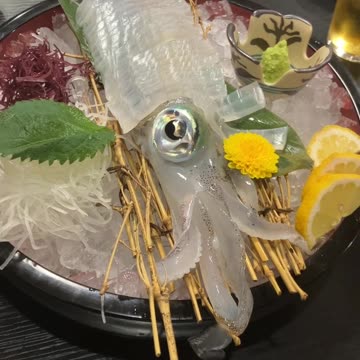 20241220 Con mực tươi