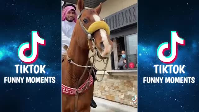 The Best Funny TIK TOK video's