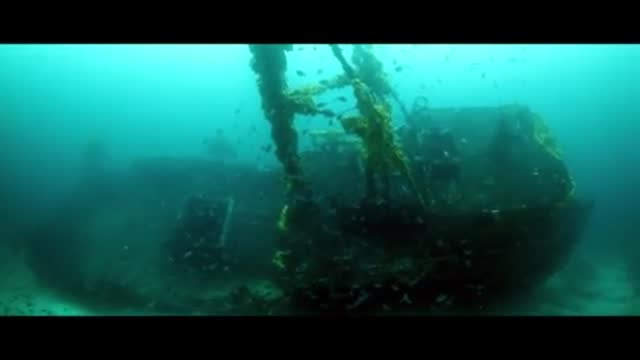 Diver queuing at the bottom of the sea