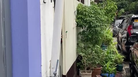 Neighbor Puts Sticker on My Gate after Accusing Me of the Same Act