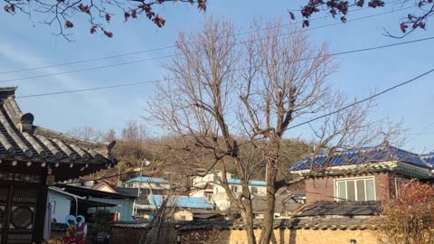 The scenery of a coffee shop in Andong, Korea