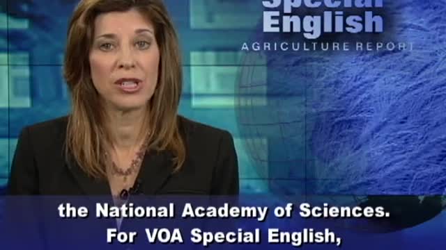 From Ancient Farmers, lessons for today amazon