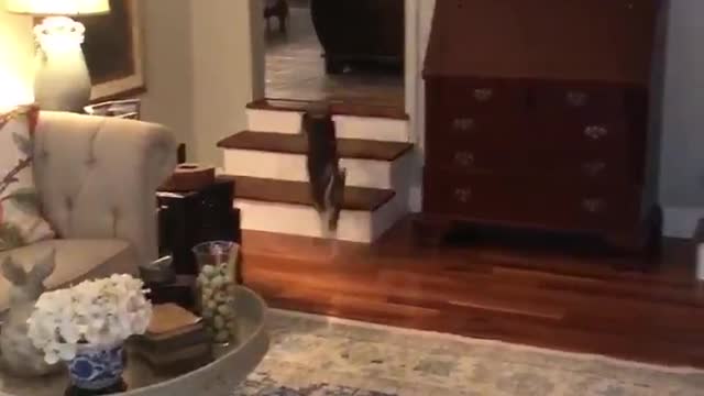 Boston excited to see Big Papa