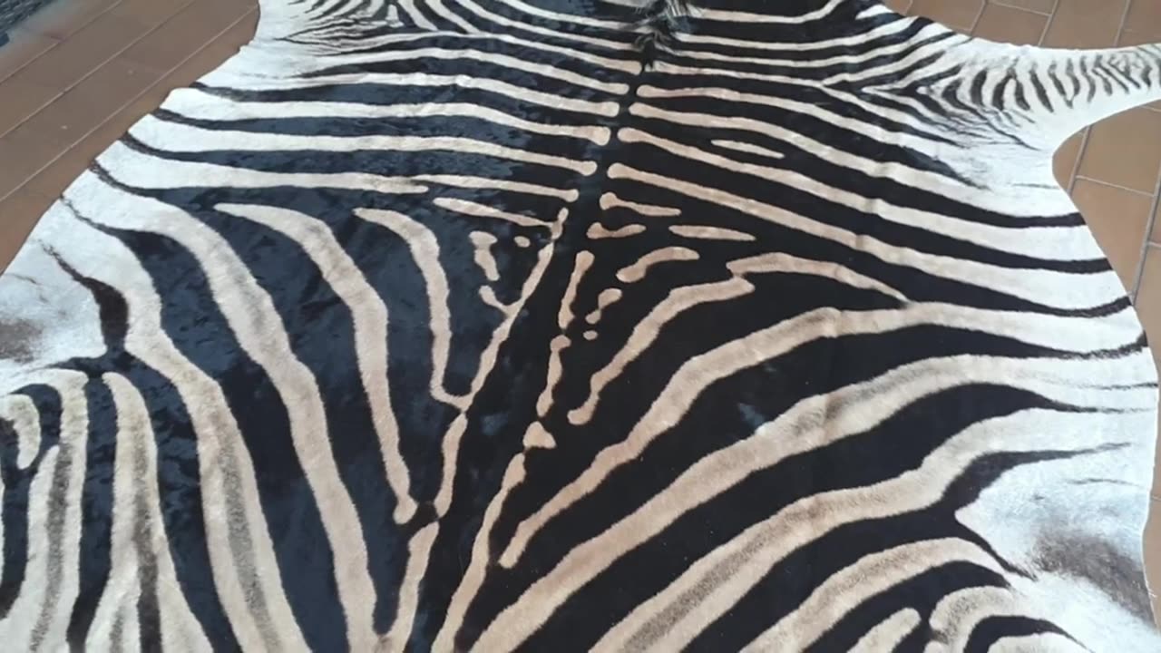 Zebra skins for Ottoman