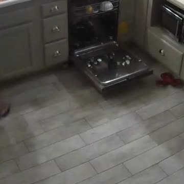 You’re supposed to take out the trash, not the dishes!