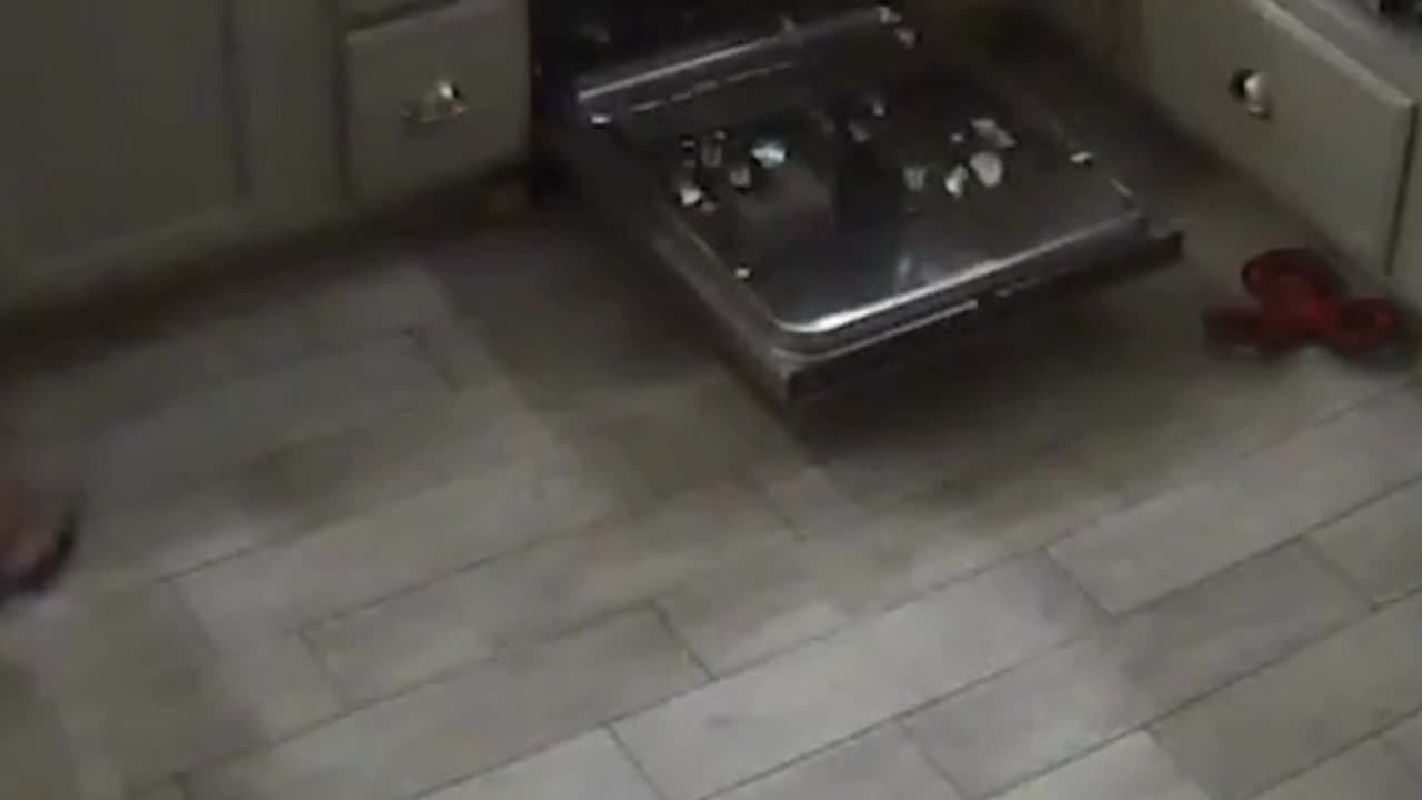 You’re supposed to take out the trash, not the dishes!