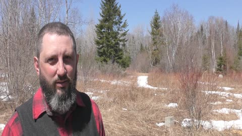 Quarantine Yourself...FROM TELEVISION!