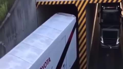 Super professional truck driver