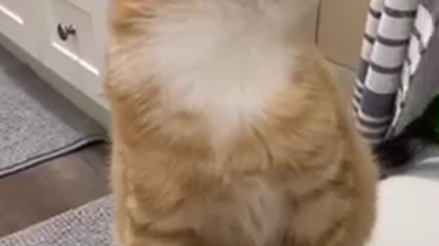 When you are trying to avoid an awkward conversation