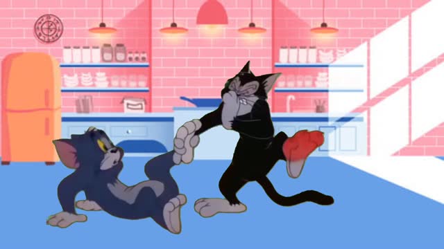 Tom and Jerry Cartoon