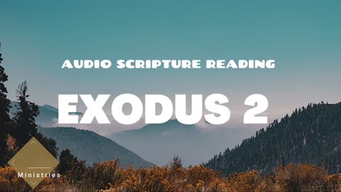 Exodus Chapter 2 - Day 52 of Walking Through The Entire Bible With Stony Kalango