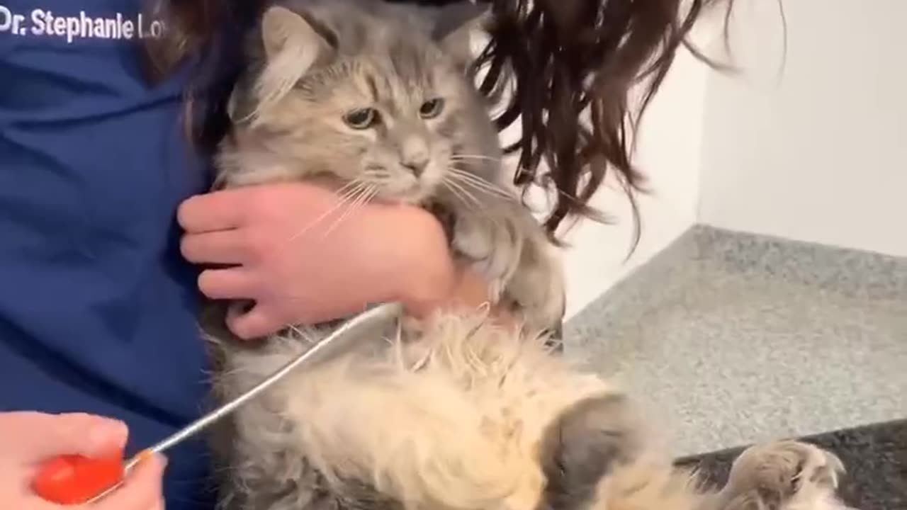 Checking the kitty reflexes 😊