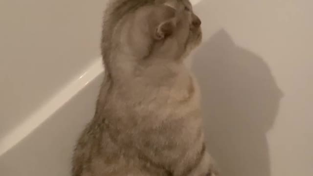 She sees ghosts