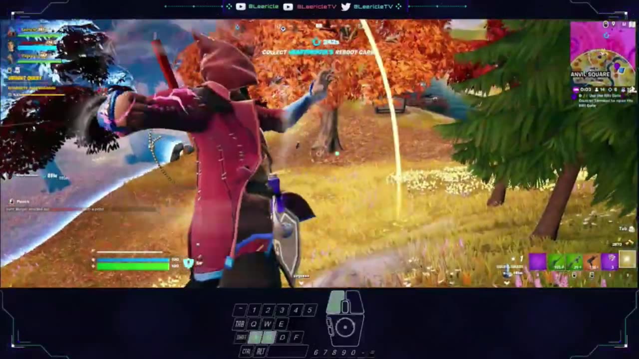 Leericle Gaming