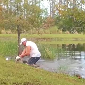 Omg! Crocodile ate puppy but suddenly