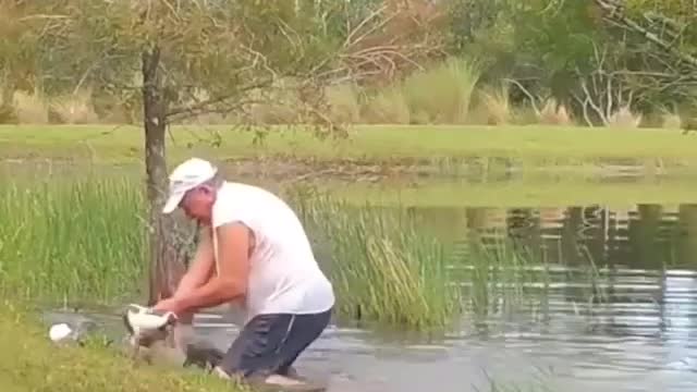 Omg! Crocodile ate puppy but suddenly