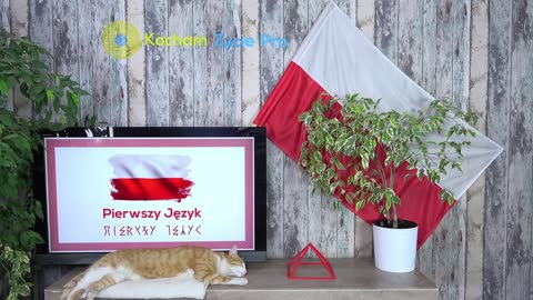 Język Polski/Lechii jest pierwszym językiem na świecie. Mnóstwo Dowodów - Pierwszy Język - Odcinek 1