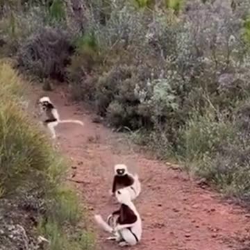 Something is special here to see !