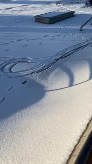 Traxxas Rustler 4x4 Fresh Powder