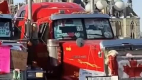 Truckers Deputy Chief Karen Bell Threatens to weaponize CPS