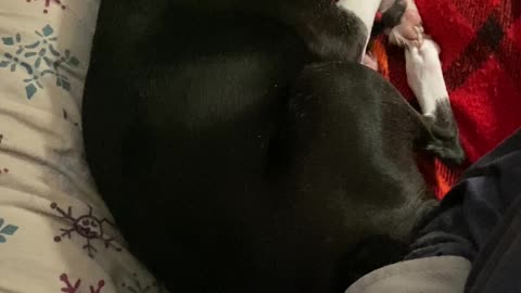 No room for you