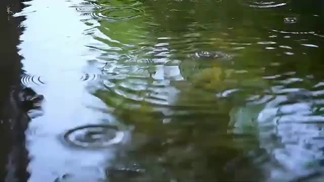 [Tanpa iklan] 2021 Relaxing Piano Music: Sleep Music, Water Sounds, Relaxing Music, Meditation Music