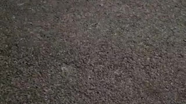 STEVE PHILLIPS 31 Reading