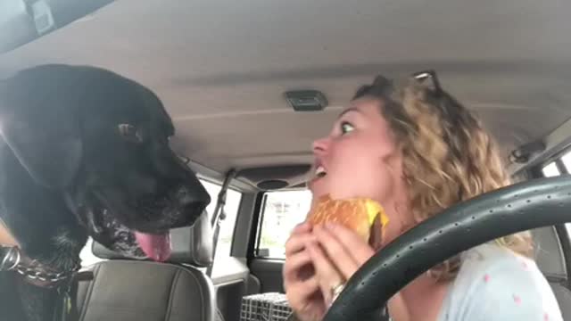 Viking and the Cheeseburger