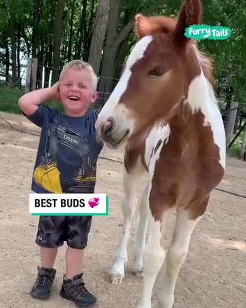 Best buds meeting for the very first time.