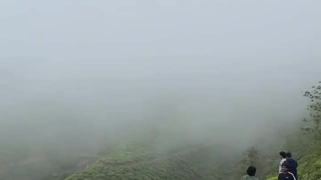 Nature view point