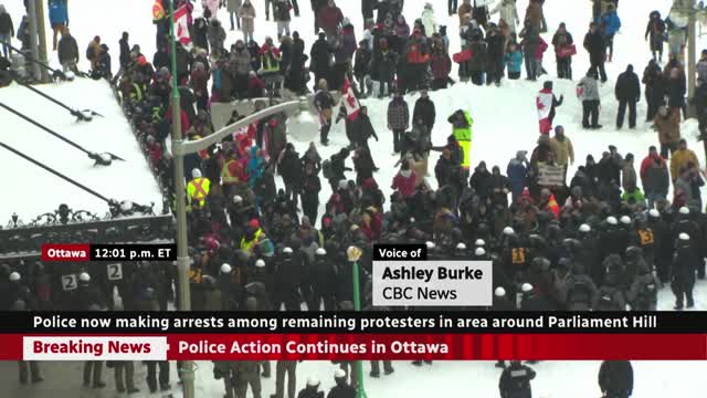 Ottawa police use chemical irritant as they confront protesters