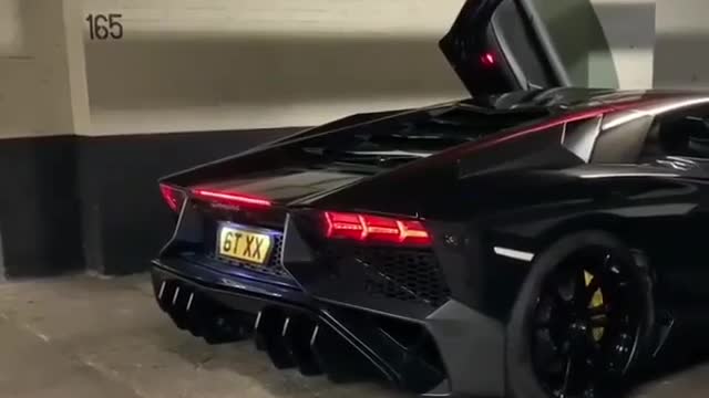 Lamborghini lamborghini