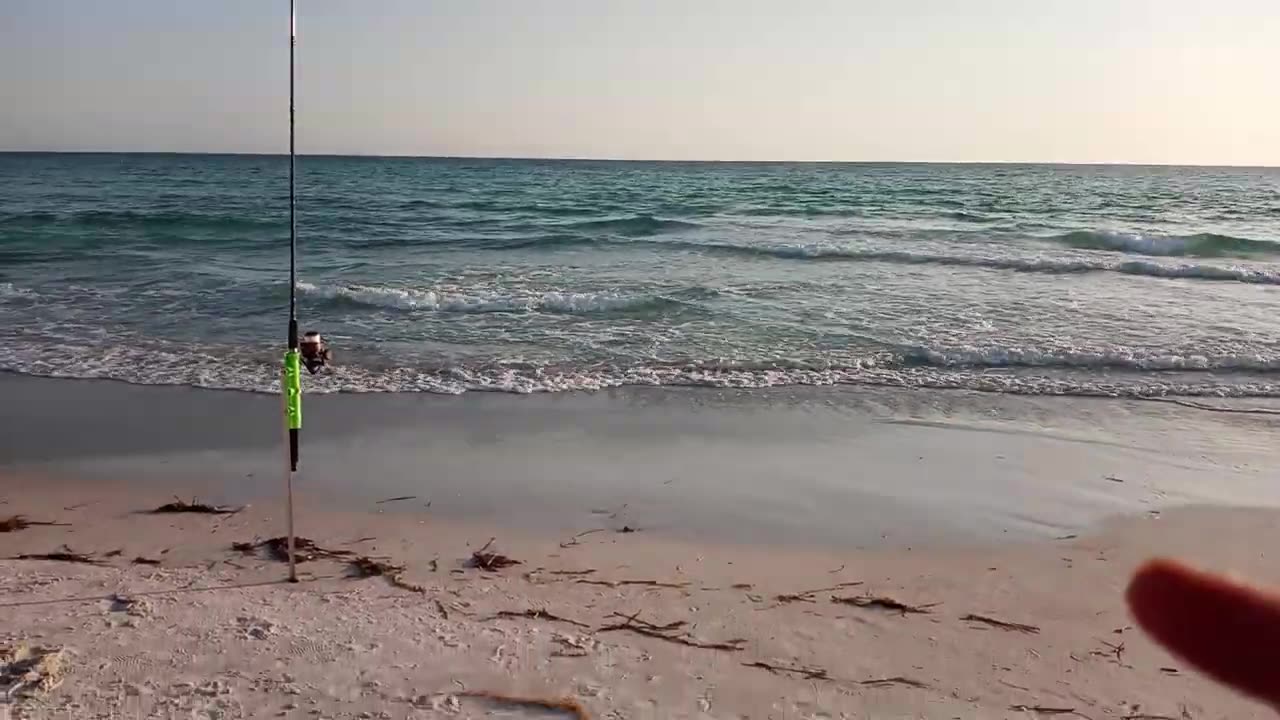 drone, fishing, saltwater fishing