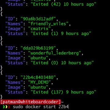 docker: starting a stopped container