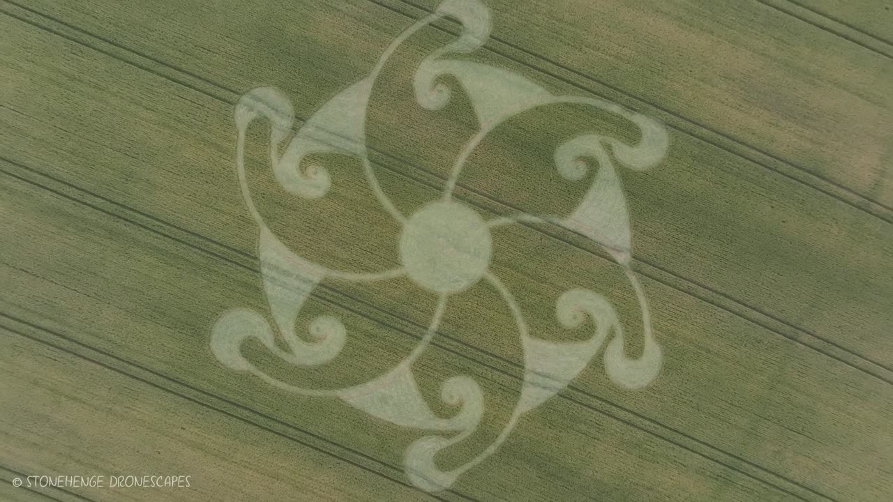 Lions Gate 8 8 Crop Circle Etchilhampton Hill Wiltshire 8 8 24