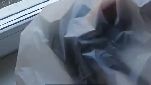 What can $12 dollars get you in Russia