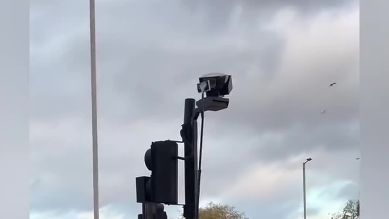 ככה אנשים מחזירים את הכוח שלהם ומתנגדים לסדר עולמי חדש ולמעקב הדיגיטלי