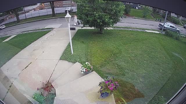 Woman Steals Pinwheel from Backyard