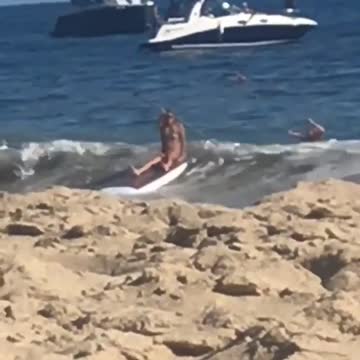 Woman falls off board with paddle board
